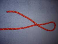 Starting a figure 8 knot.