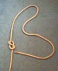 Figure 8 knot.