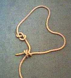 Figure 8 and fisherman's knot.